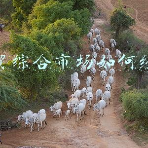 农贸综合市场《细村农贸综合市场》