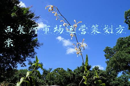 西餐厅营销策划方案(西餐厅创业秘诀！从客户寥寥无几到爆满，只用了两个小活动)