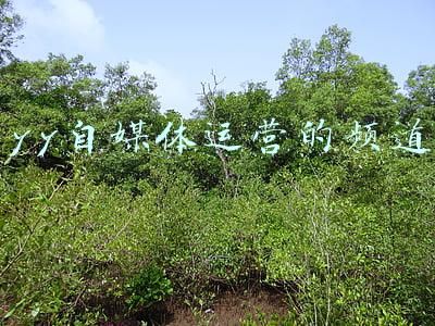 创建yy频道(25 如何添加虚拟卡通主播｜专业虚拟直播间搭建教程)