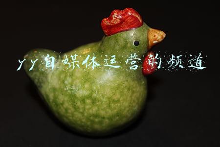 yy运营是做什么的(驾培大数据：林志颖代言的YY学车投诉率爆表，平台难监管)