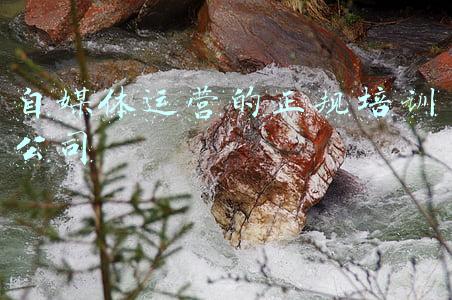 自媒体运营的正规培训公司