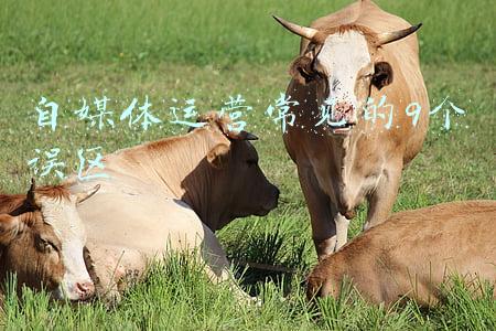 常见的认识误区包括(关于血型认知的七大误区，看看你中了几条？)