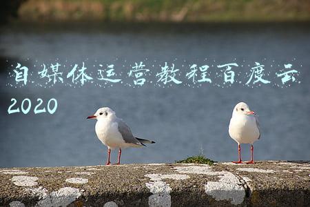 抖音运营教程百度云(《抖音综合运营手册全指南》完整版脑图，分享学习)
