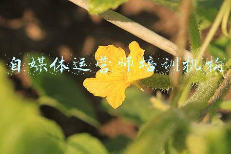 环评工程师培训机构(2021年第四期全省环境影响评价管理人员暨环评技术人员培训班顺利举办)