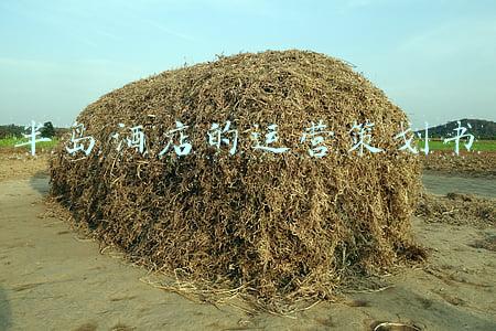 半岛酒店的运营策划书