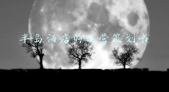 半岛酒店的运营策划书