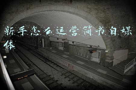 简书运营(简书的运营策略)