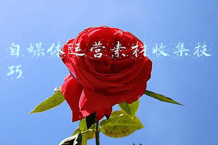 免费自媒体素材网(自从收藏了这6个素材下载网站，我做视频再也没有花过钱)
