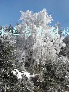 自媒体网站素材(10个功能强大到爆的素材资源网站，再也不怕没有自媒体素材了！)