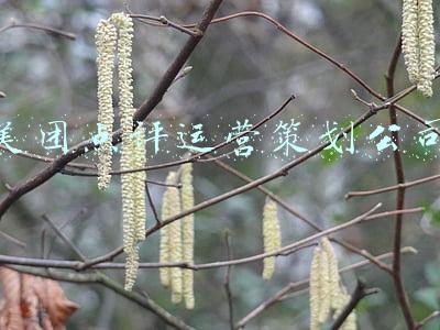 美团运营部(货拉拉引入运营副总裁尹兵兵，其曾任美团配送事业部运营负责人)