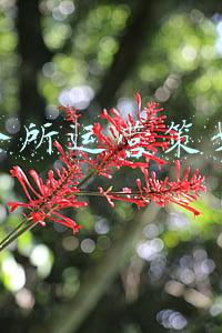 婚介所服务协议书(开一家“不收服务费”的婚介所，用创意赚钱，怎么操作？)