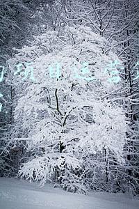 燕窝营销方案(卖燕窝如何引流？燕窝怎么找客源？燕窝微商如何推广自己的产品)