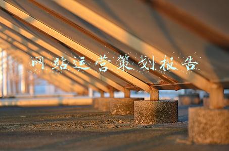 网站运营策划报告