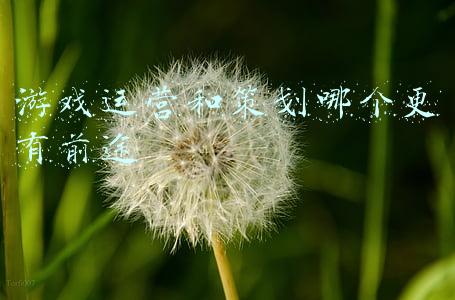 游戏测试有前途吗(软件测试行业到底有没有前景和出路？)