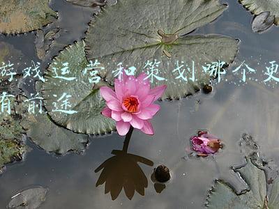 游戏主播有前途吗(公会老板揭秘娱乐主播没有任何前景，你怎么看？)