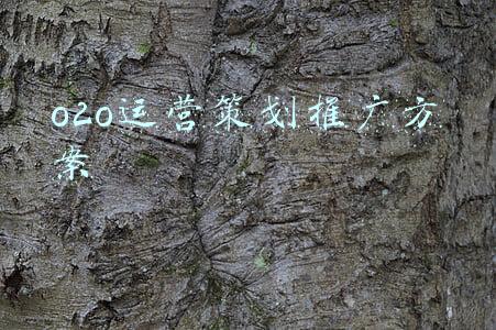 o2o营销策划方案(企业公司线下分销商销售方案（空调产品、食品、饮用水、饮料）)