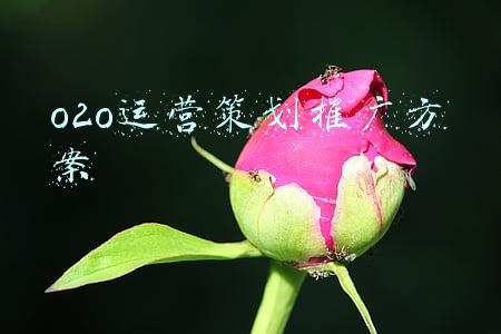 o2o营销推广案例(20个美业机构推广案例，看他们如何线上获客、线下导流)