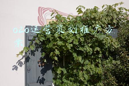 线上 线下o2o推广模式(门店模式的o2o要怎么运营？线上怎么引流到线下)