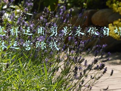 怎样运用剪影来做自媒体运营赚钱