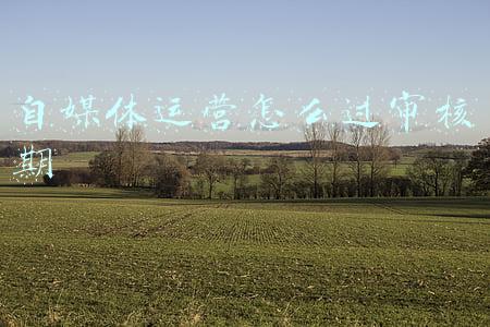 自媒体运营怎么过审核期