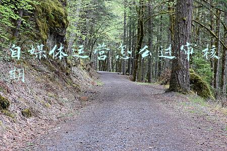 自媒体运营怎么过审核期