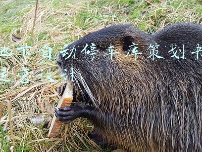 地下车库停车场设计方案(地下车库5大设计要点，请逼自己学会)
