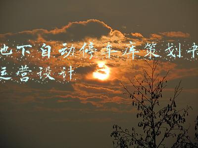 地下自动停车库策划书运营设计