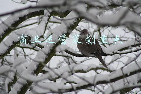 商业模式的重点在于(变动的世界，你如何应对——个人商业模式你思考的工具)