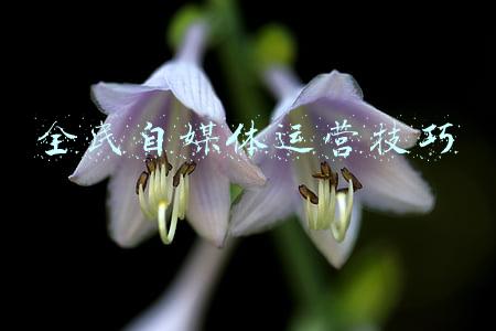 全民自媒体平台账号(头条创作密码，知道了可以少走许多弯路)