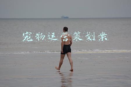 宠物运营策划案