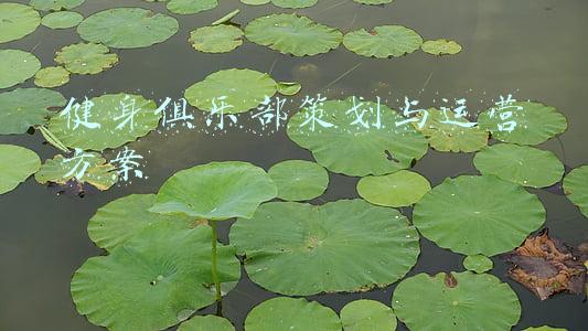 健身房俱乐部的设计方案(几家超酷夜店风健身房，运动泡吧两不误！)
