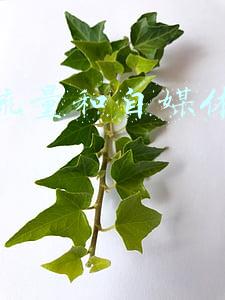私域流量和自媒体运营关系