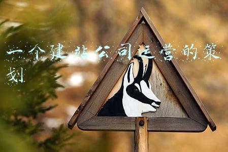 佛山建站公司(主打年轻人市场的家具商拟上市 红杉中国合伙人担任董事)