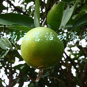 市场策划运营(活动营销设计的内功经验心法)