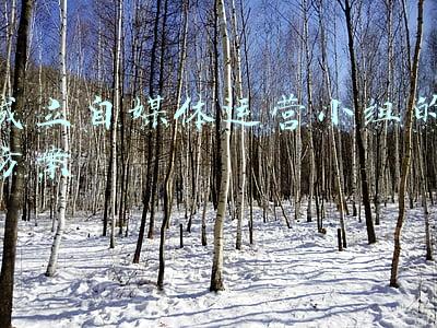 成立自媒体运营小组的方案