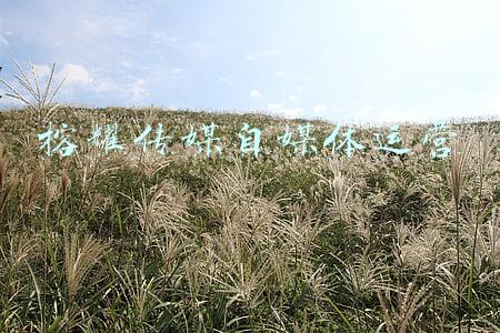 中榕榕耀传媒王总监(「白富美女主文推荐」我贪恋的人间烟火，不偏不倚全部都是你)