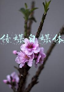 福建榕耀传媒靠谱吗(福州仓山热门楼盘项目现场传来一批新照片，请查收)