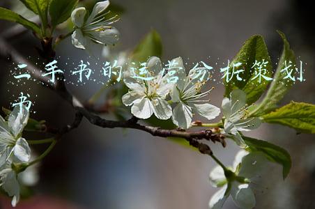 二手书的运营分析策划书