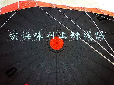 卖海味网上赚钱吗