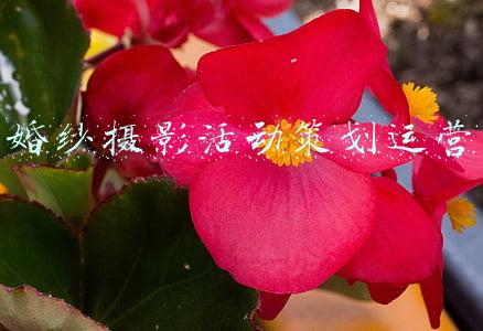 婚纱摄影活动策划运营