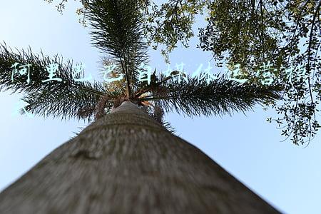 阿里的自媒体平台有哪些(自媒体平台都有哪些？)