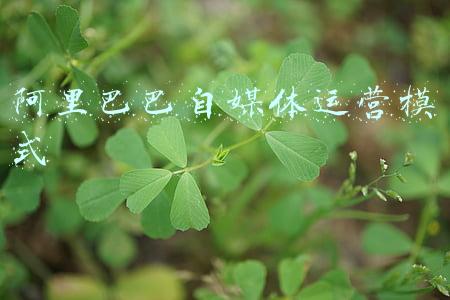 了解阿里巴巴运营模式(国内年度活跃用户预计达10亿，张勇详解阿里三大战略)