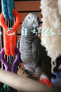 阿里巴巴控制的媒体(3年拿下25家媒体 阿里巴巴组建庞大“公关喉舌”)