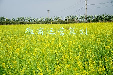 微商策划方案(品牌运营胡小胖：微商品牌营销流程概述 - 新零售品牌起盘课堂)
