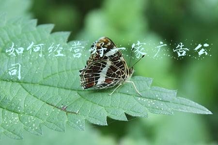 没经验怎么开广告公司_如何开好广告公司
