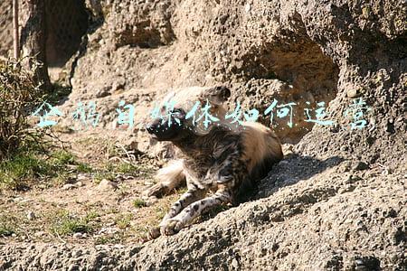 企鹅自媒体平台登录入口(企鹅号怎么注册，分享企鹅号最新最详细的注册步骤)