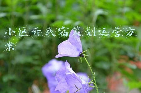 小区开民宿策划运营方案
