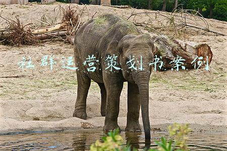 社群运营策划书案例