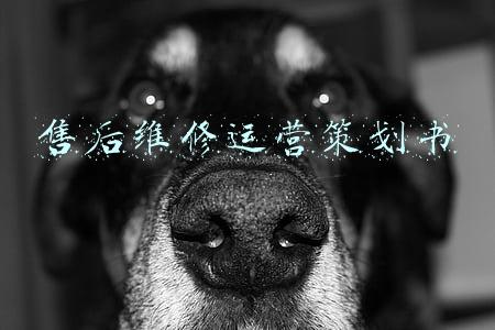 售后维修运营策划书