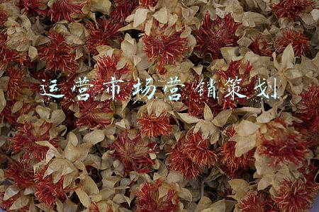 药品市场营销策划方案(以几个案例入手，探讨医药行业营销新模式)